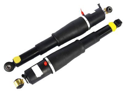 GM 23487280 Rear Leveling Shock Absorber Assembly