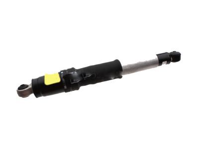 GM 23487280 Rear Leveling Shock Absorber Assembly