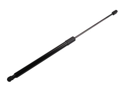 Buick Tailgate Lift Support - 39169063