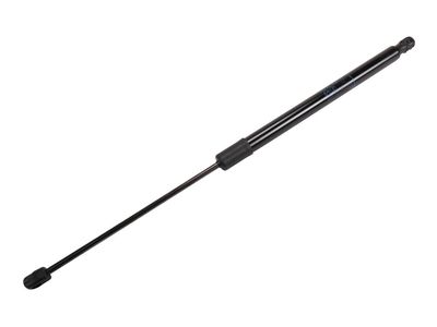 Buick Tailgate Lift Support - 39169063