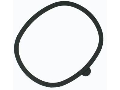 GM 10019632 Gasket, Air Cleaner