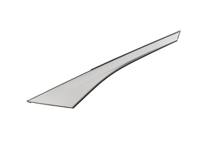 Buick Encore GX Door Moldings - 42843050