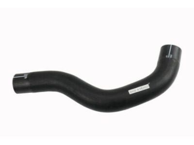 Chevrolet Silverado Radiator Hose - 19330105