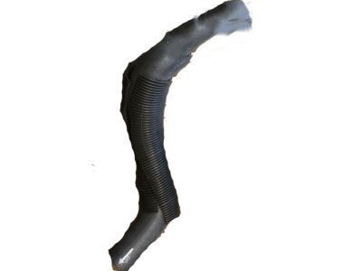 1991 Chevrolet Beretta Radiator Hose - 10135366