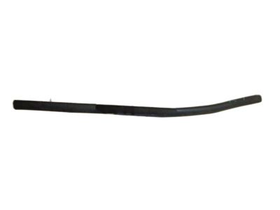 GM 95025613 Weatherstrip Assembly, Rear Side Door Lower