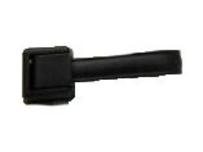 GM 10392674 Strap,Lift Gate Pull *Ebony