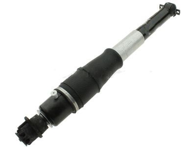 Pontiac Shock Absorber - 19300026