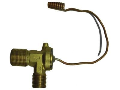 GMC A/C Expansion Valve - 89022575