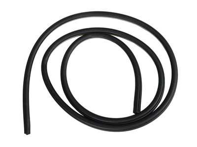 Pontiac G3 Weather Strip - 96462695