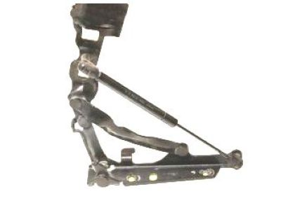 GM 10278149 Strut Assembly, Rear Compartment Lid (For Car W/ 2 Struts)