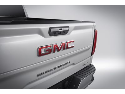 2019 GMC Sierra Tailgate Handle - 84123317