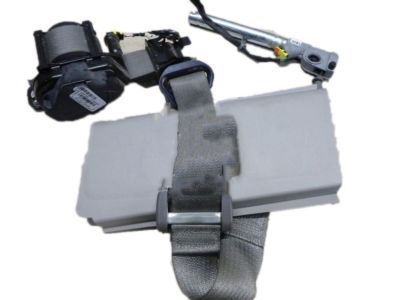 2012 Cadillac SRX Seat Belt - 19256986