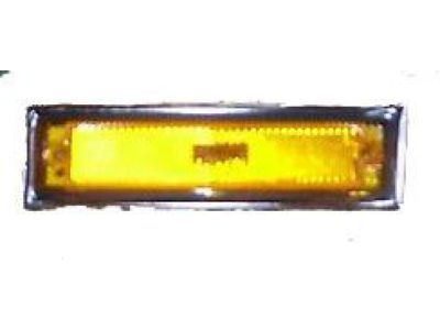 GM 915557 Lamp Assembly, Side Marker