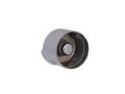 GM 55577438 Lifter Assembly, Valve