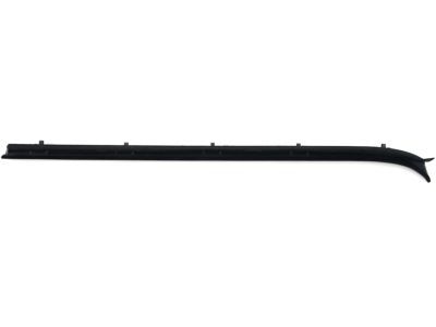 GM 15569072 Weatherstrip Assembly, Front Side Door Window Rh