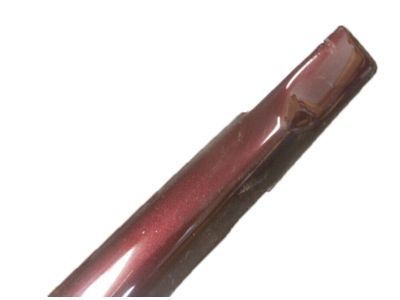 GM 10246326 Molding Assembly, Rear Side Door Center