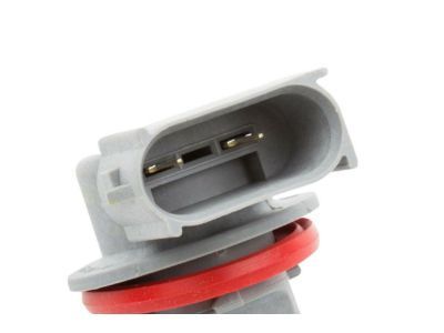 GM 23255094 Socket, Headlamp