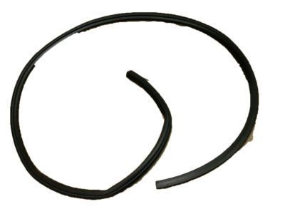 2005 Chevrolet Trailblazer Weather Strip - 15917732