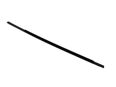 Buick Enclave Door Moldings - 85576568