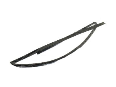 GM 88974658 Weatherstrip,Front Side Door Window