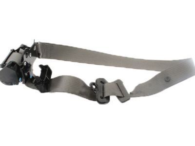 Chevrolet Express Seat Belt - 19258783