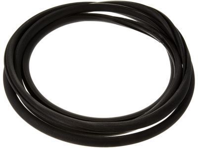 2015 Chevrolet Impala Weather Strip - 15893292