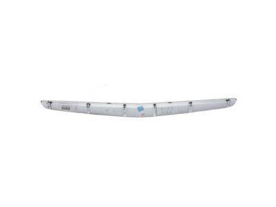 GM 20907953 Molding, Rear Bumper Fascia *Galvano Silvv