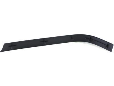 GM 10156794 Strip,Front Bumper Rubber