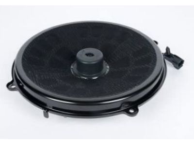 GM 25950304 Speaker Assembly, Radio Rear