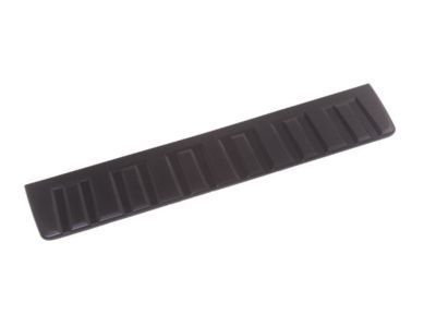 GM 22876237 Pad, Asst Step Front *Long Black