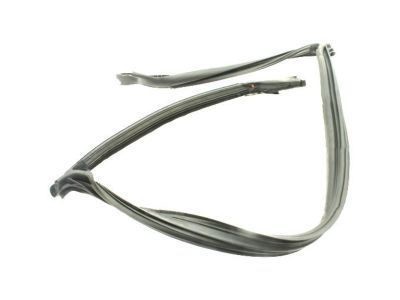 Chevrolet Corvette Weather Strip - 84367842