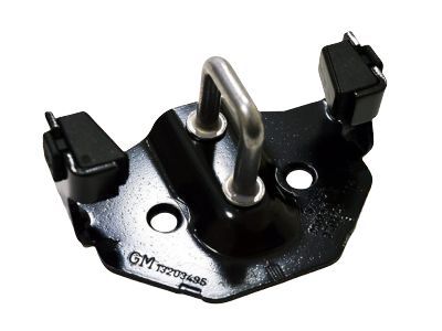 GM 13203495 Striker Asm,Lift Gate Lock