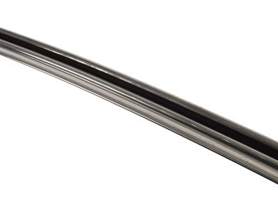 Buick Enclave Door Moldings - 23204996