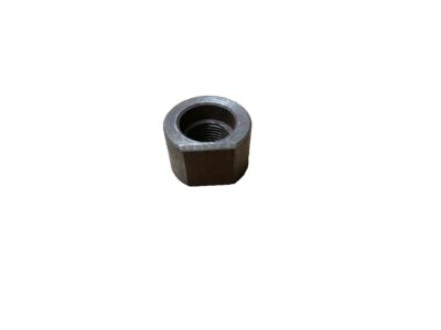 GM 3760300 Nut, Special