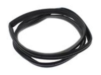 2011 Buick Lucerne Weather Strip - 25823550