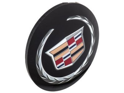 GM 25737138 Radiator Grille Emblem