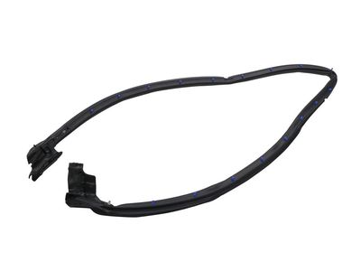 2010 Pontiac Solstice Door Seal - 20786026