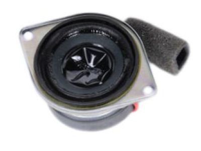 GM 10302944 Speaker Assembly, Radio Rear