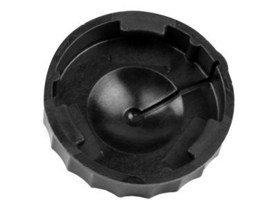 GM 15513988 Cap, Master Cyl