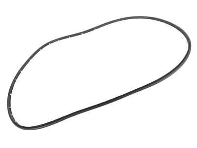 Buick LaCrosse Door Seal - 22973972