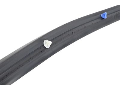 Buick LaCrosse Door Seal - 22973972