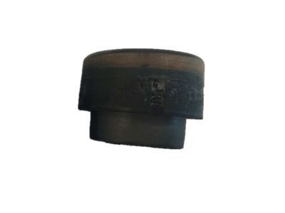 Oldsmobile Aurora Crossmember Bushing - 25757175