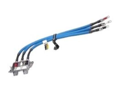 GM 12598167 Cable,Generator Control Module Positive & Negative