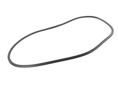 2024 Cadillac LYRIQ Door Seal - 85117673