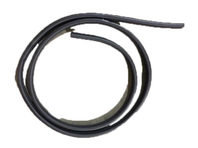 GMC Envoy Weather Strip - 15169859