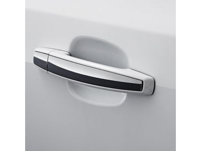 2013 Chevrolet Cruze Door Handle - 20919351