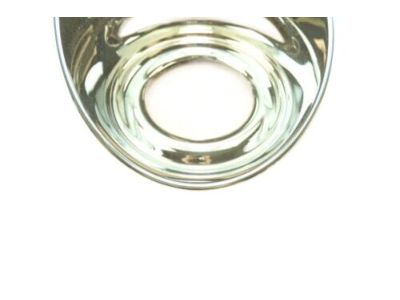 GM 12335916 Bezel,Front Fog Lamp (R.H.)