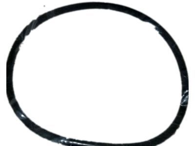 GMC Terrain Transfer Case Seal - 19208892
