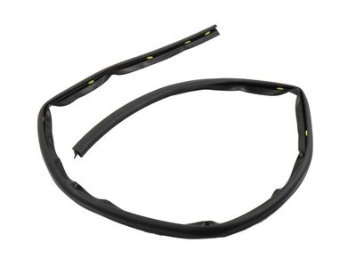 2007 GMC Acadia Door Seal - 25790460