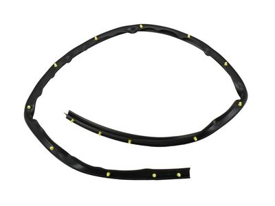 2007 GMC Acadia Door Seal - 25790460
